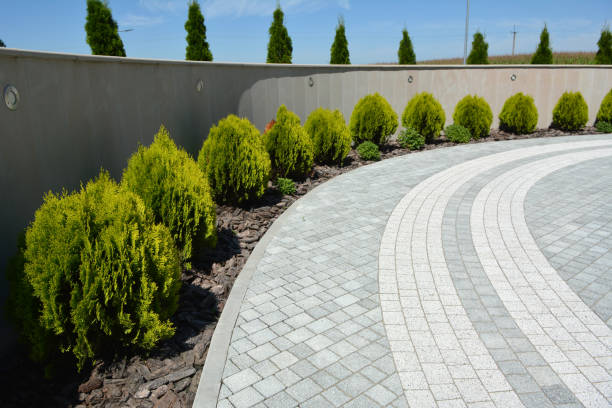 Best Custom Driveway Pavers  in Rehoboth Beach, DE